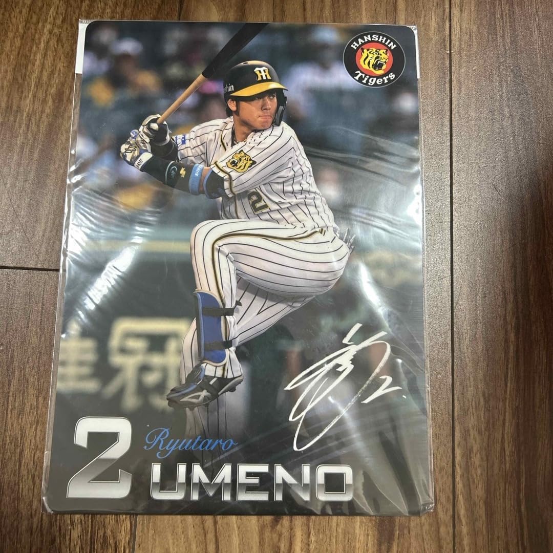 Amazon.co.jp: 梅野 2 下敷き 阪神 タイガース : 文房具